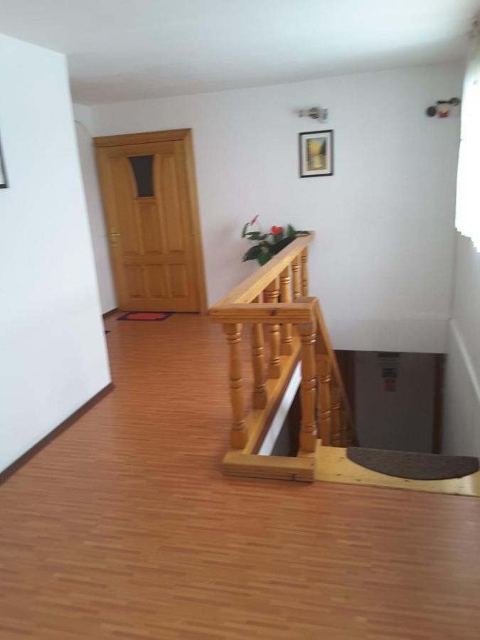 Camere De Inchiriat Edelweiss Dumbrava Rosie Exterior photo